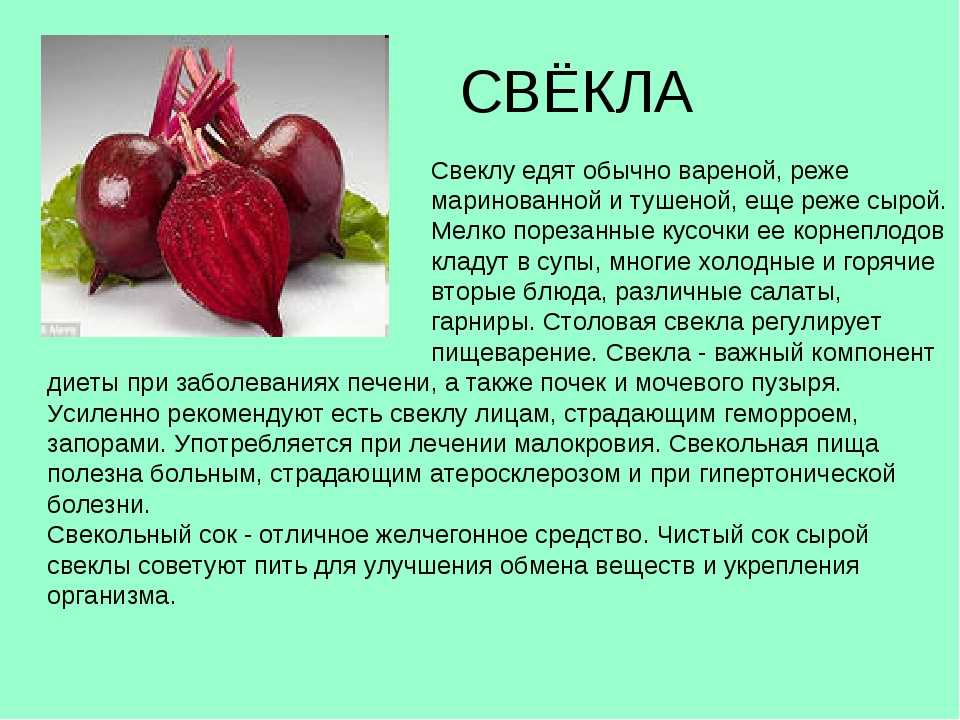 Свекла