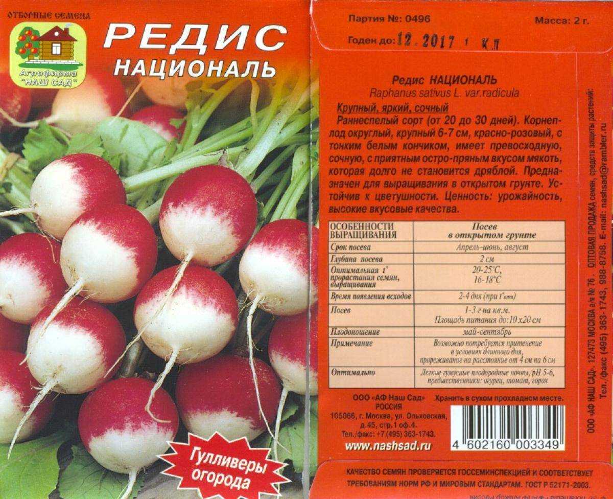 Сорта редиса для открытого грунта с описанием и фото