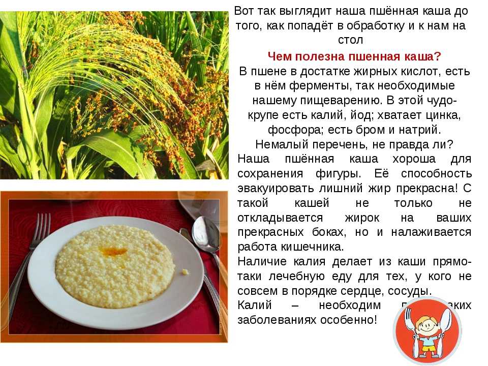 Польза пшенной каши для организма