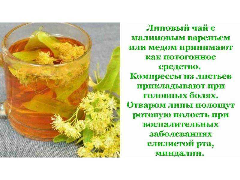 Народные средства от кашля | проверенные способы его лечения - журнал "по-женски"