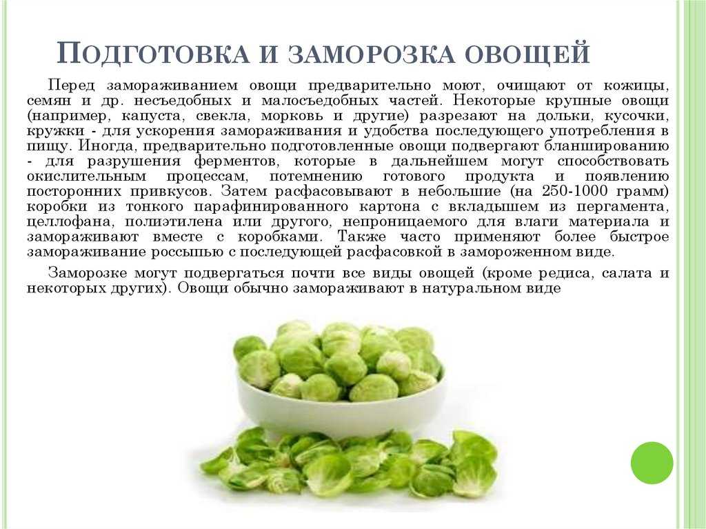 Сколько можно хранить черешковый сельдерей и как это правильно делать?