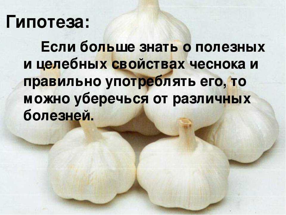 Чеснок на голодный желудок утром: как правильно принимать натощак, польза и вред, особенности