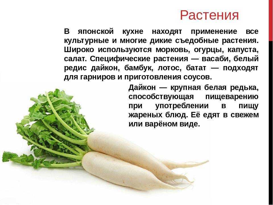 Редька: полезные свойства, помощь в лечении, витамины и минералы