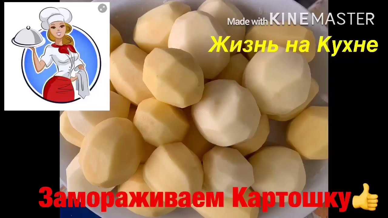 Где и как хранить картофель, условия и сроки хранения