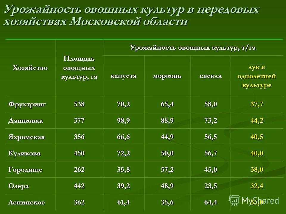 Правильный бизнес на луке. расчет, подготовка, запуск
