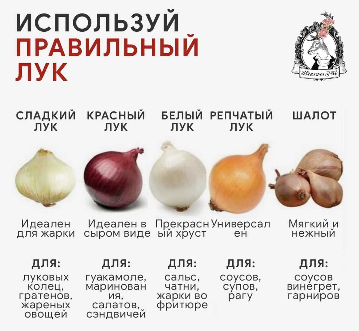 Репчатый красный лук от белого отличается не только цветом Он ароматнее и слаще, разница есть и в химическом составе В сравнении с обычным белым луком фиолетовый содержит антоцианы и опережает его по витаминному составу