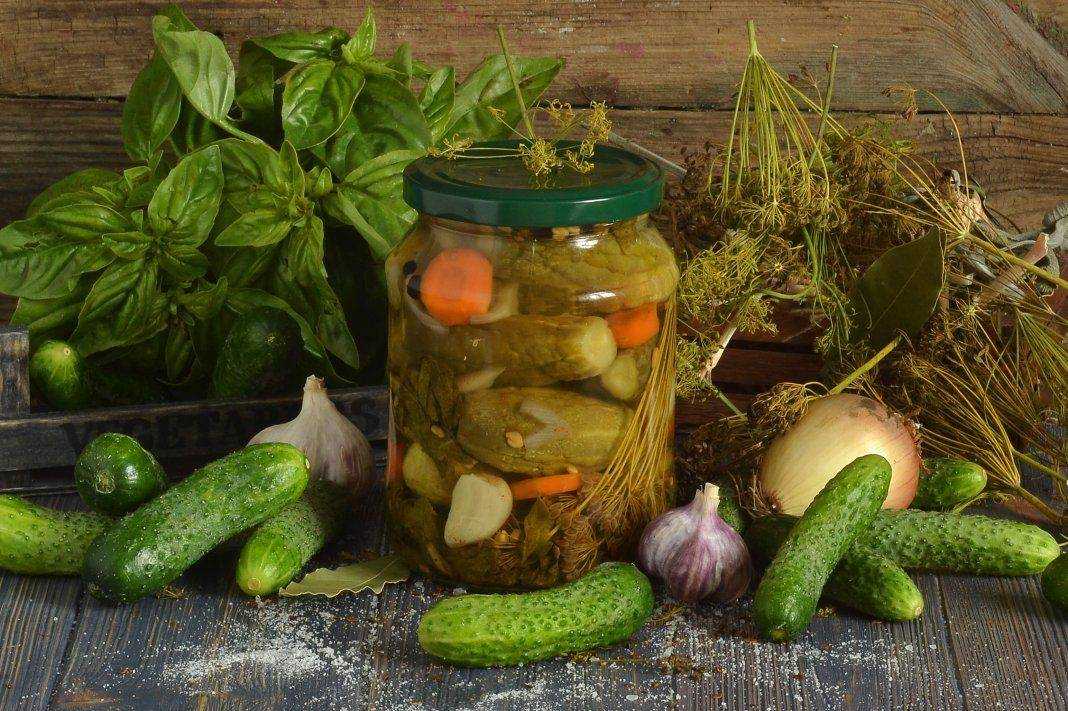 Салаты из огурцов на зиму — 9 самых вкусных рецептов