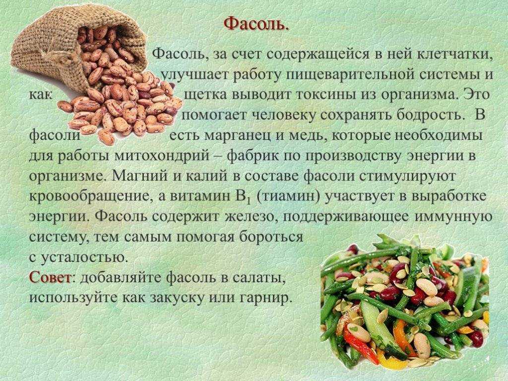 Фасоль - польза и вред для здоровья, калорийность и состав продукта