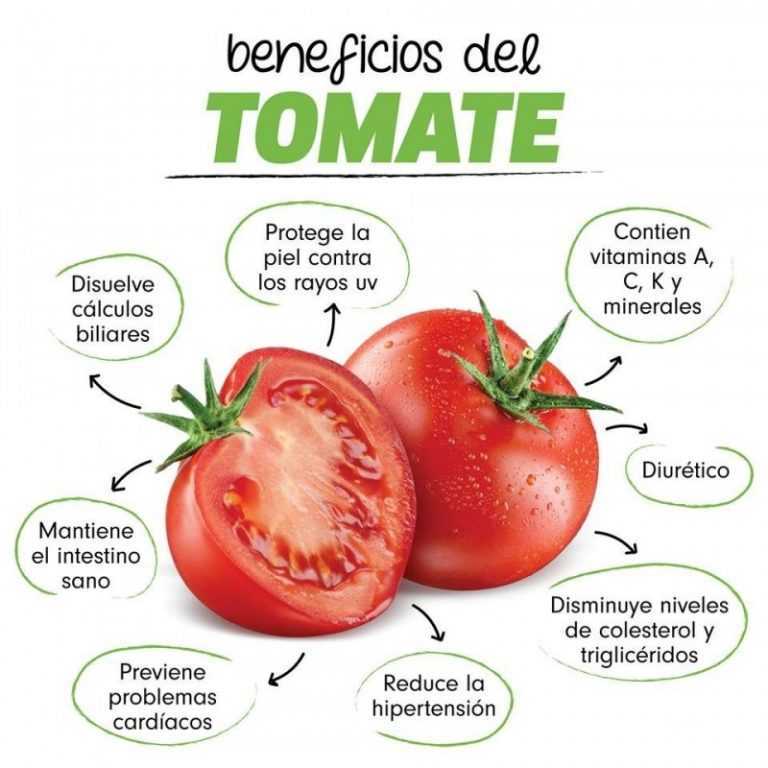 Калорийность помидора на 100 грамм, сколько калорий и бжу в томате | alkopolitika.ru