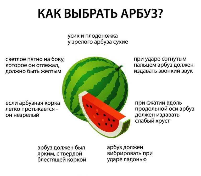 Арбуз польза и вред для здоровья человека