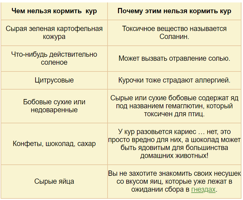 Обычно животным предпочитают не давать чеснок, но и куры - редкое исключение Иногда им дают этот овощ Но можно ли так делать Как правильно вводить его в рацион