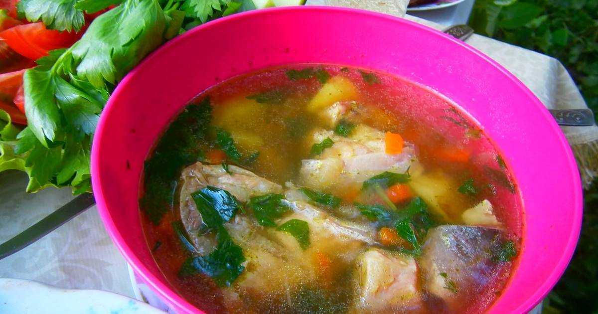 Настоящая рыбацкая уха из сома и судака, рецепт с фото