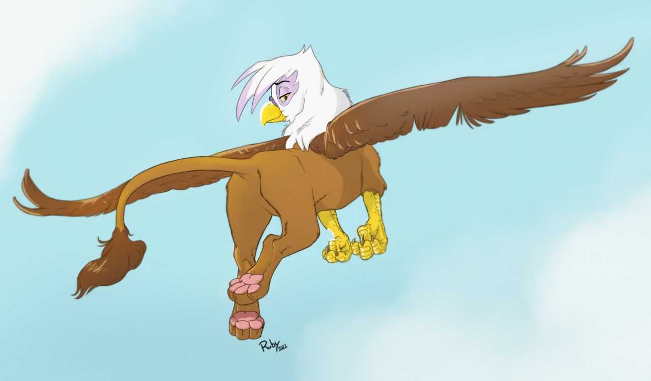 Тест натур продукт: гамак для ног fly foots