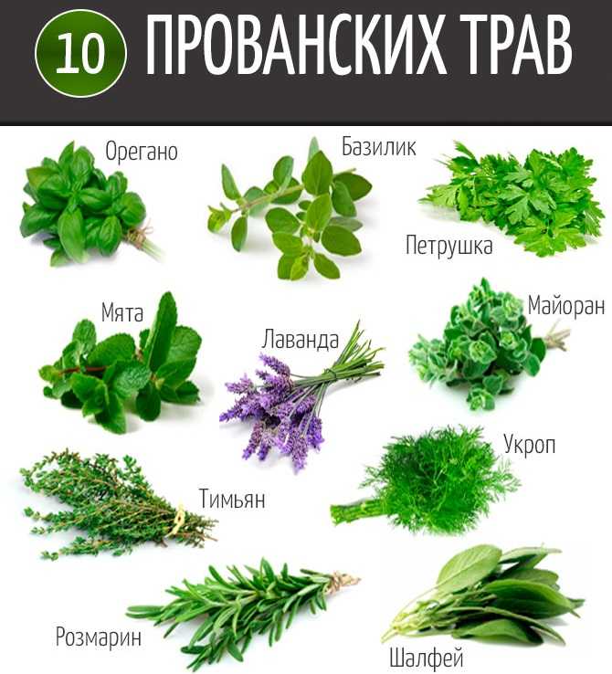 12 заменителей орегано (душицы), сушеной и свежей