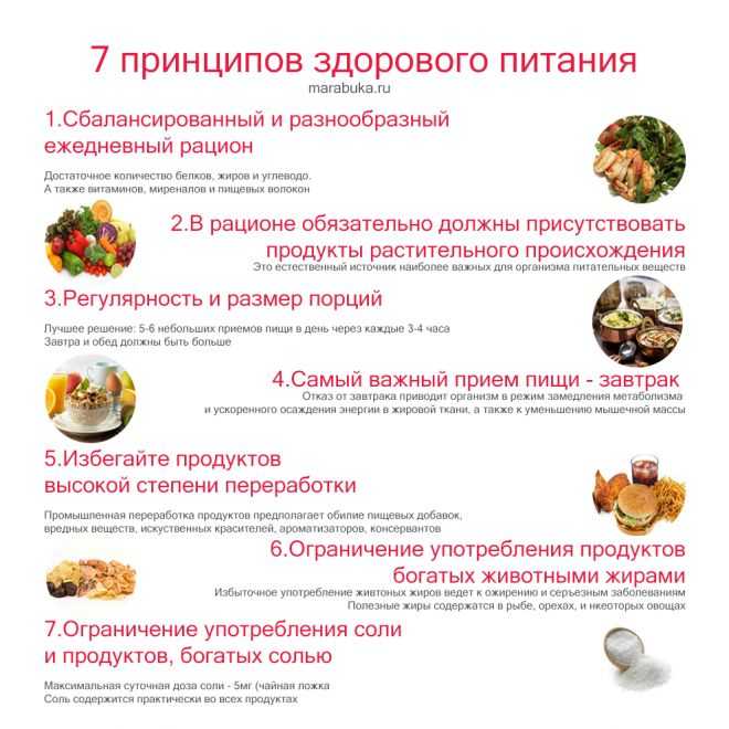 Диета без вреда и голода. американский учёный придумал, как быстро похудеть | питание и диеты | здоровье | аиф аргументы и факты в беларуси