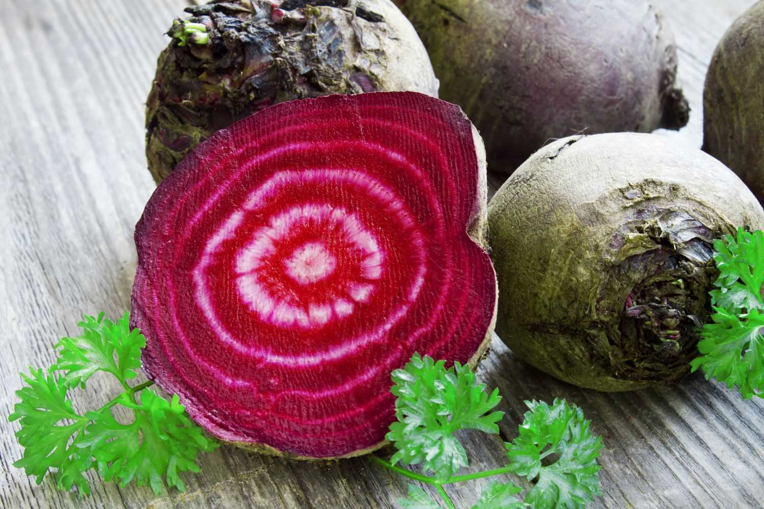 Почему свекла с белыми прожилками. какая свекла считается самой вкусной