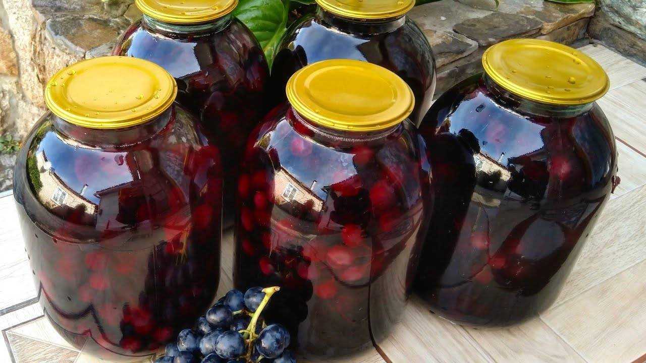Компот из винограда на зиму: как сделать, рецепты в домашних условиях
