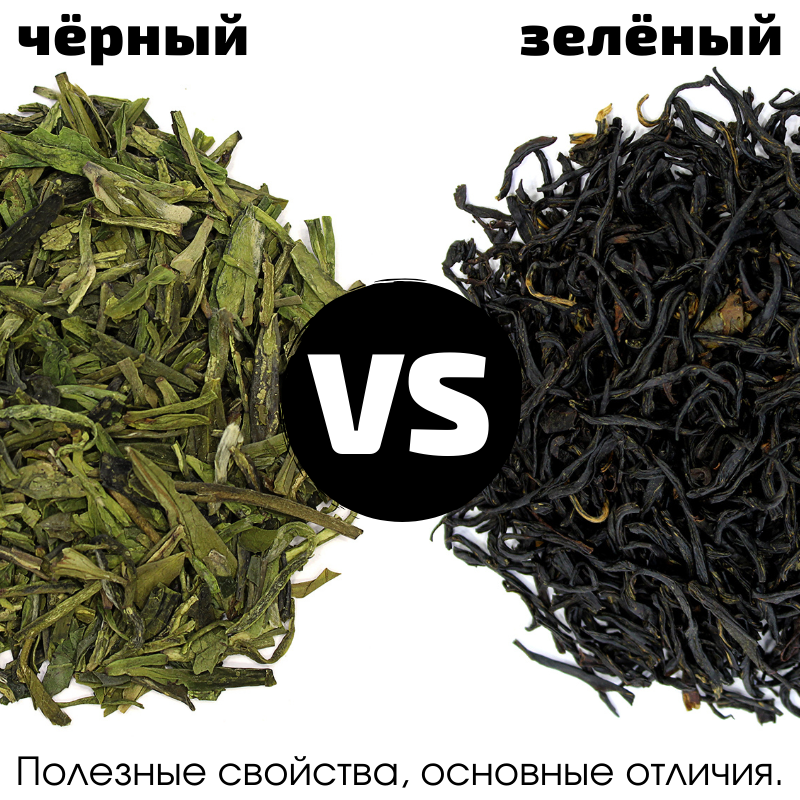 Черный, белый или зеленый чай-какой наиболее полезен для здоровья?