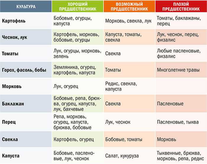 5 принципов севооборота на огороде что после чего сажать