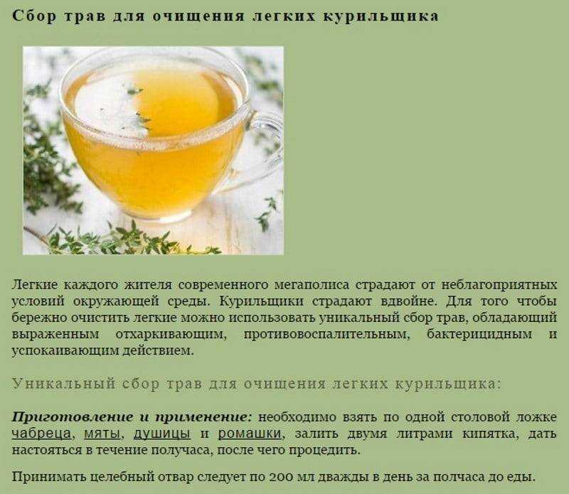 Для чего и как стоит принимать сок петрушки: польза и вред этой зелени для здоровья