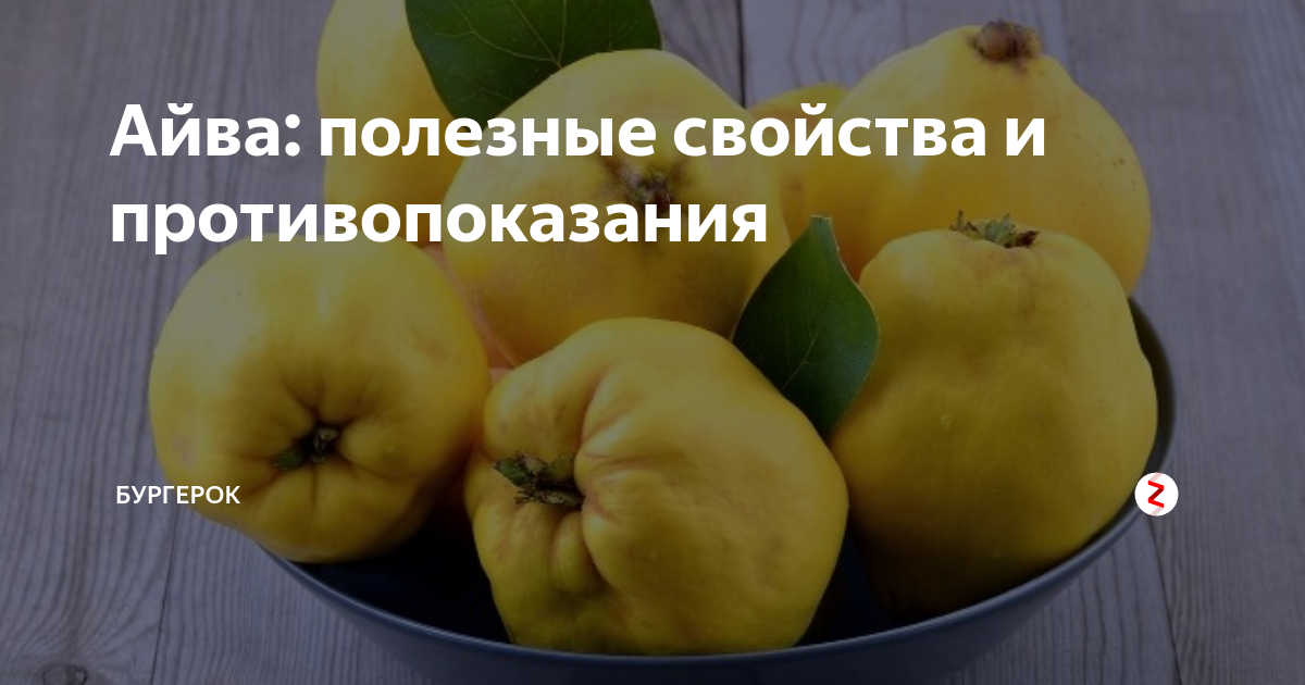 Хеномелес - японская айва - плодовые кустарники | дикий дачник