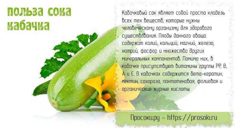 Цуккини: польза и вред длинноплодного зеленого кабачка