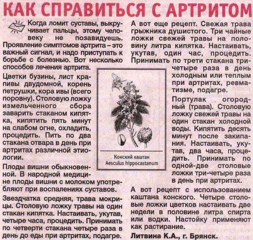 Настойка от болезни суставов на ростках картофеля