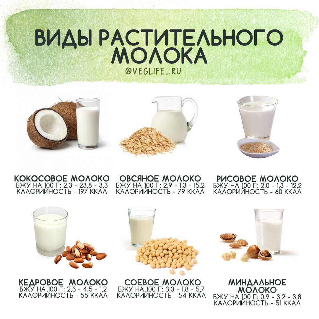 Растительное молоко — какое бывает? за и против, польза и вред