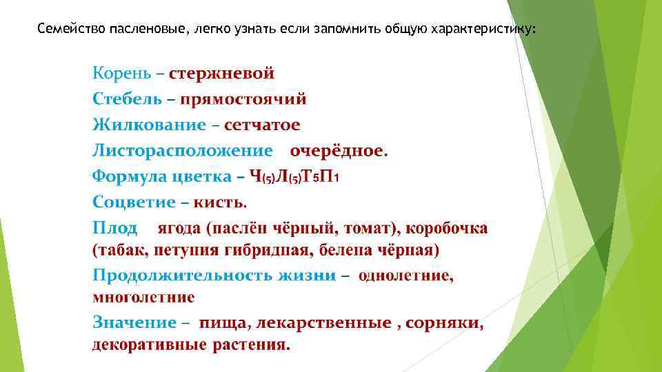 Паслен: виды, состав, свойства, применение, противопоказания, рецепты
