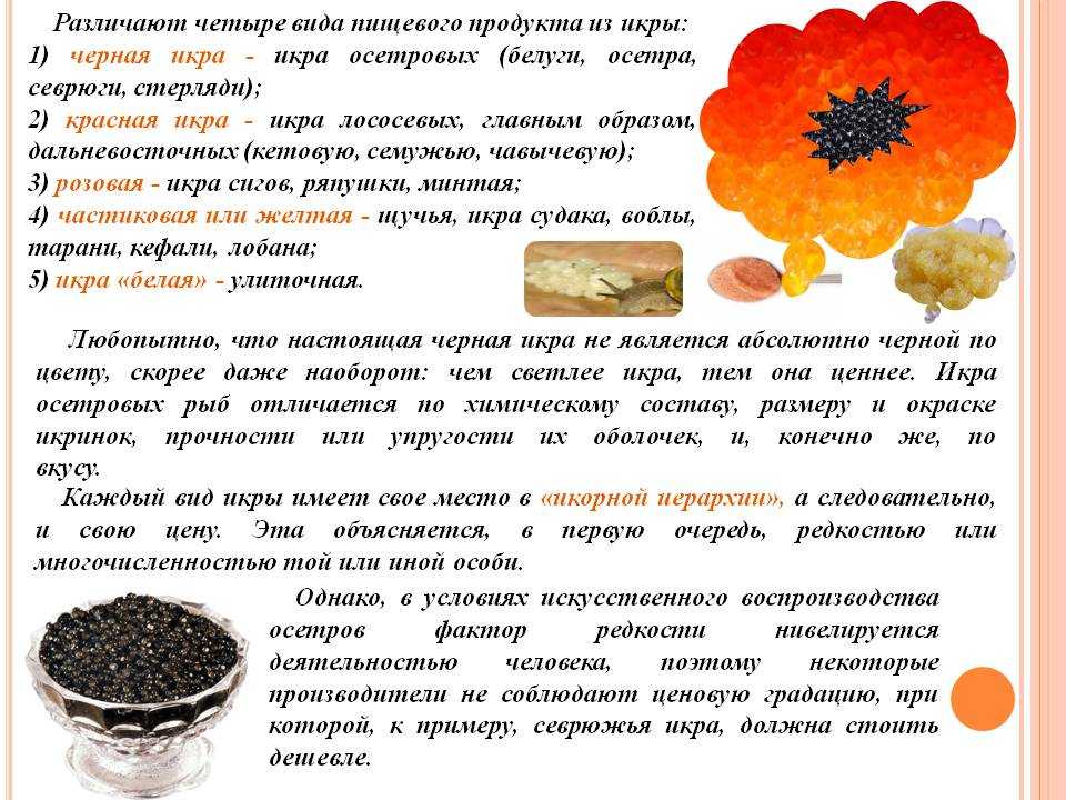 Черная икра: классификация и польза | food and health