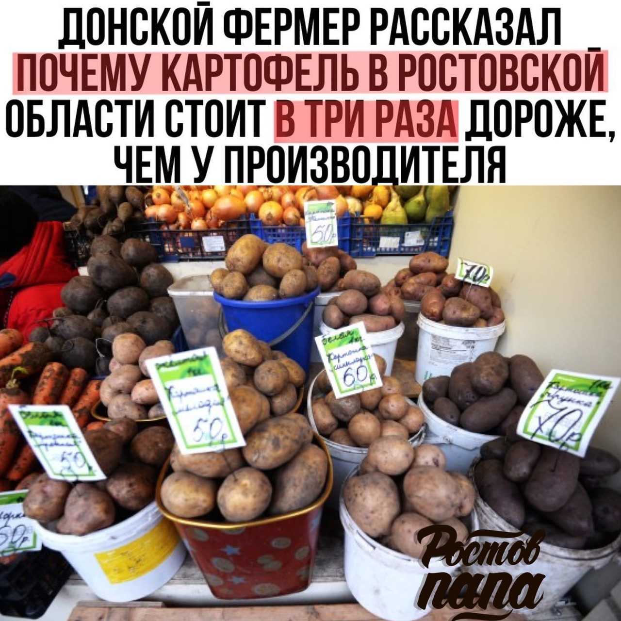 Лучшие сорта картофеля для хранения на зиму 