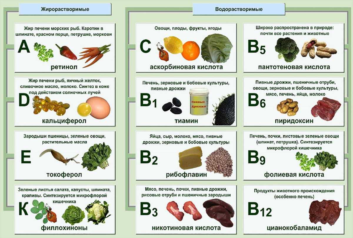 Способы приготовления здоровой пищи: топ-10 вариантов сделать вкусное и полезное блюдо