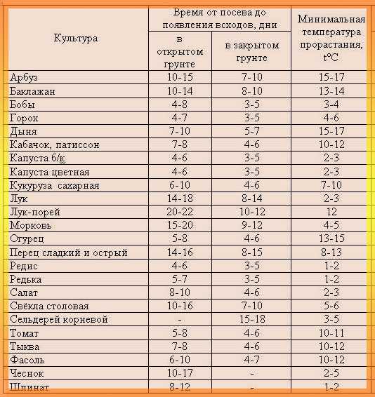 Морковь не взошла: что делать, как посадить чтобы быстро проросла