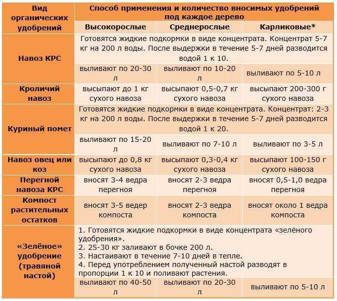 Подкормка свеклы и моркови в открытом грунте для большого урожая: чем подкормить