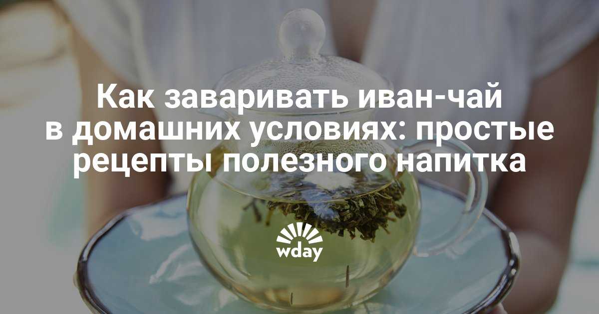Иван-чай (ферментация листьев кипрея) - мастер-класс