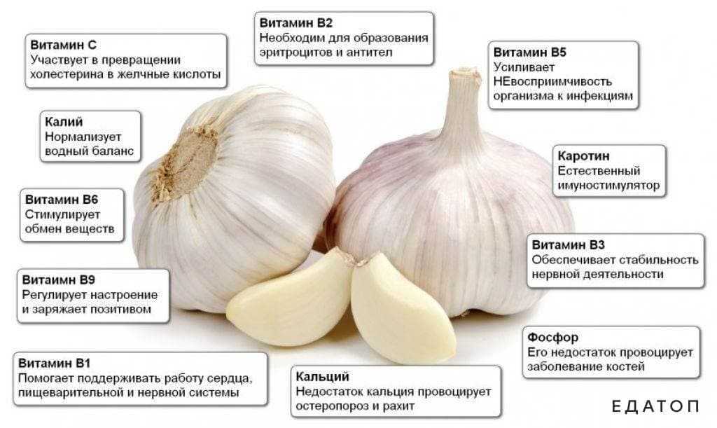 Лук репчатый: чем полезен для организма, польза и вред для здоровья человека, полезные свойства и противопоказания для мужчин и женщин