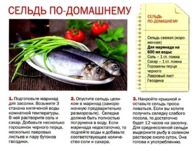 Пряная отварная селедь. | страна мастеров