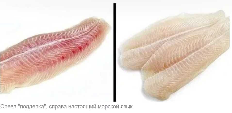 Морской язык (пангасиус) в кляре. пошаговый рецепт приготовления морского языка в кляре с фото
