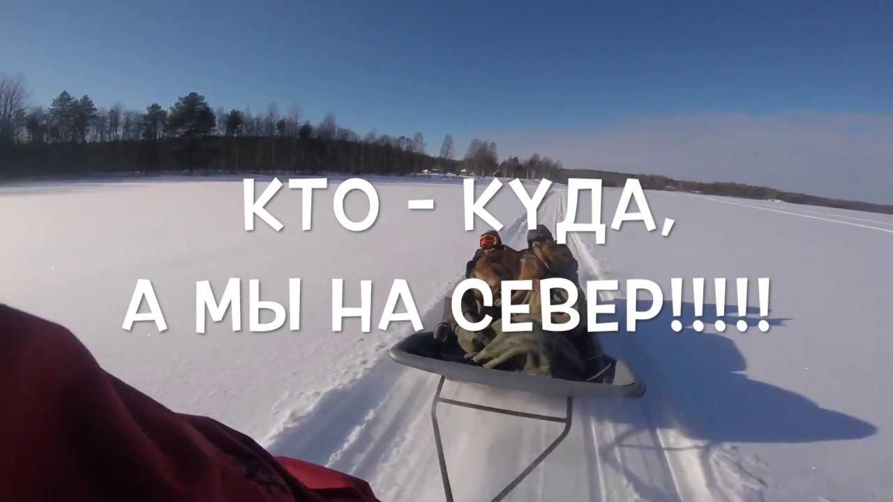 На север за свободой — кириллица — энциклопедия русской жизни