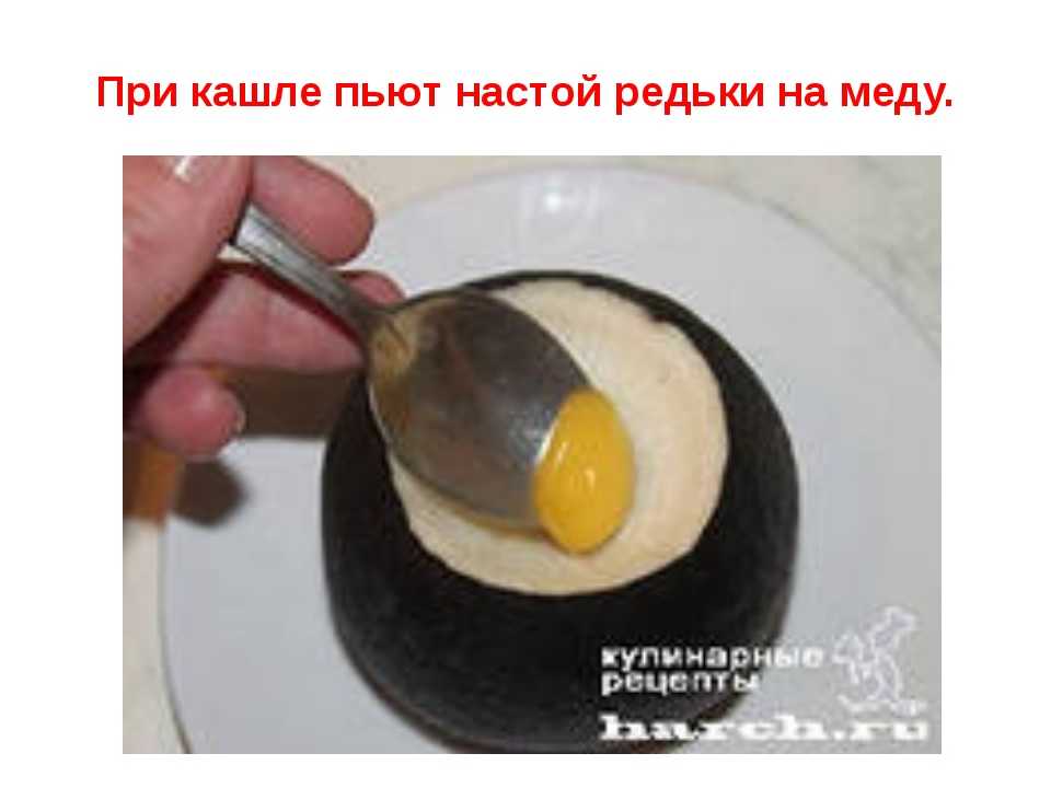 Черная редька с медом от кашля: рецепты смеси для лечения, как ее можно приготовить и правильно принимать