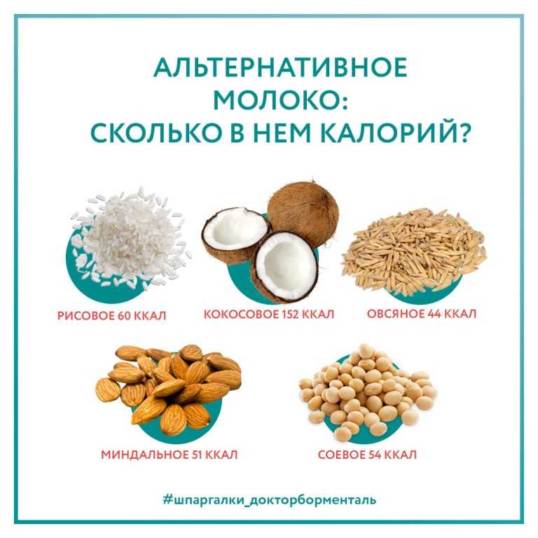 Растительное молоко: польза, разновидности, как сделать дома