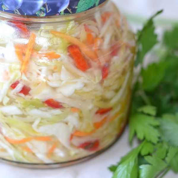Капуста быстрого приготовления очень вкусная — 20 рецептов