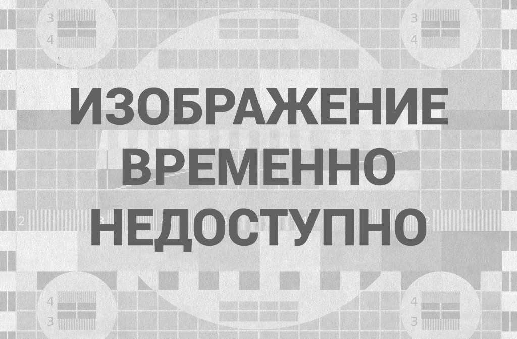 Фаршированные перцы по-азербайджански. фаршированные перцы, помидоры и баклажаны азербайджанская кухня фаршированные баклажаны перец и помидоры