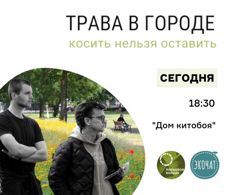 Зачем скашивать картофельную ботву до уборки урожая, куда ее девать после, что делать с ней вместо утилизации и можно ли класть в компостную яму Удаление кустов своими руками и триммером и их использование, а также как быть, если они слабые
