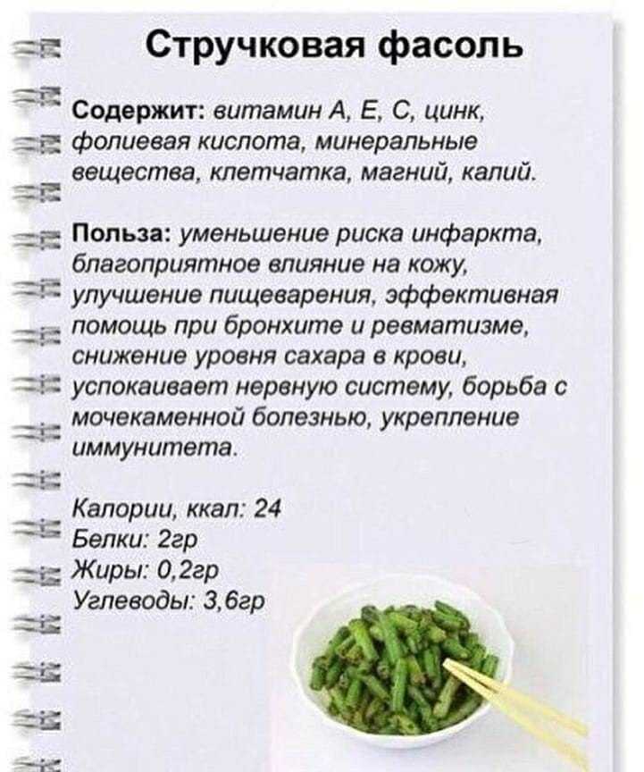 Польза и вред стручковой фасоли, калорийность, как приготовить, отзывы | zaslonovgrad.ru