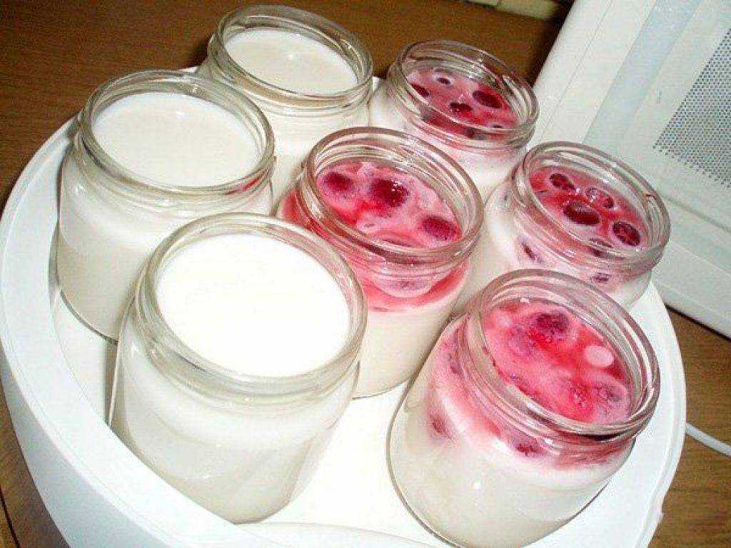 Домашний йогурт из молока и закваски
