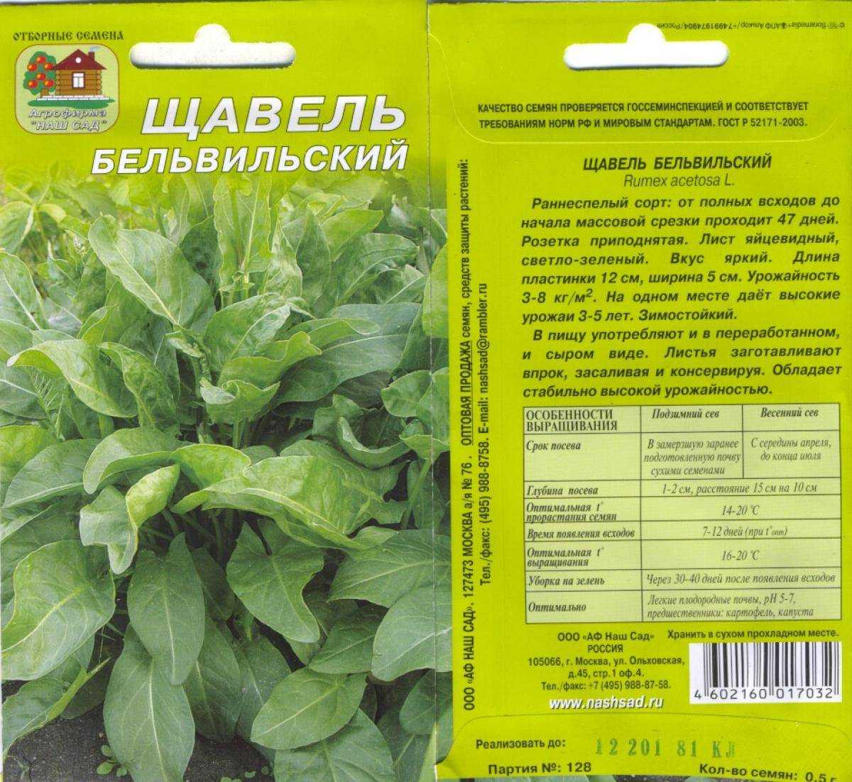 Щавель. полезная зелень. всё о щавеле — польза, вред, использование, агротехника. - рускемпинг - обмен опытом и мнениями