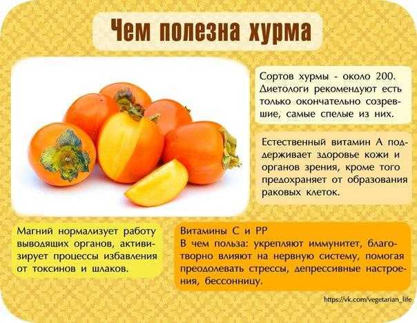 Хурма мелкая черная кавказская полезные свойства