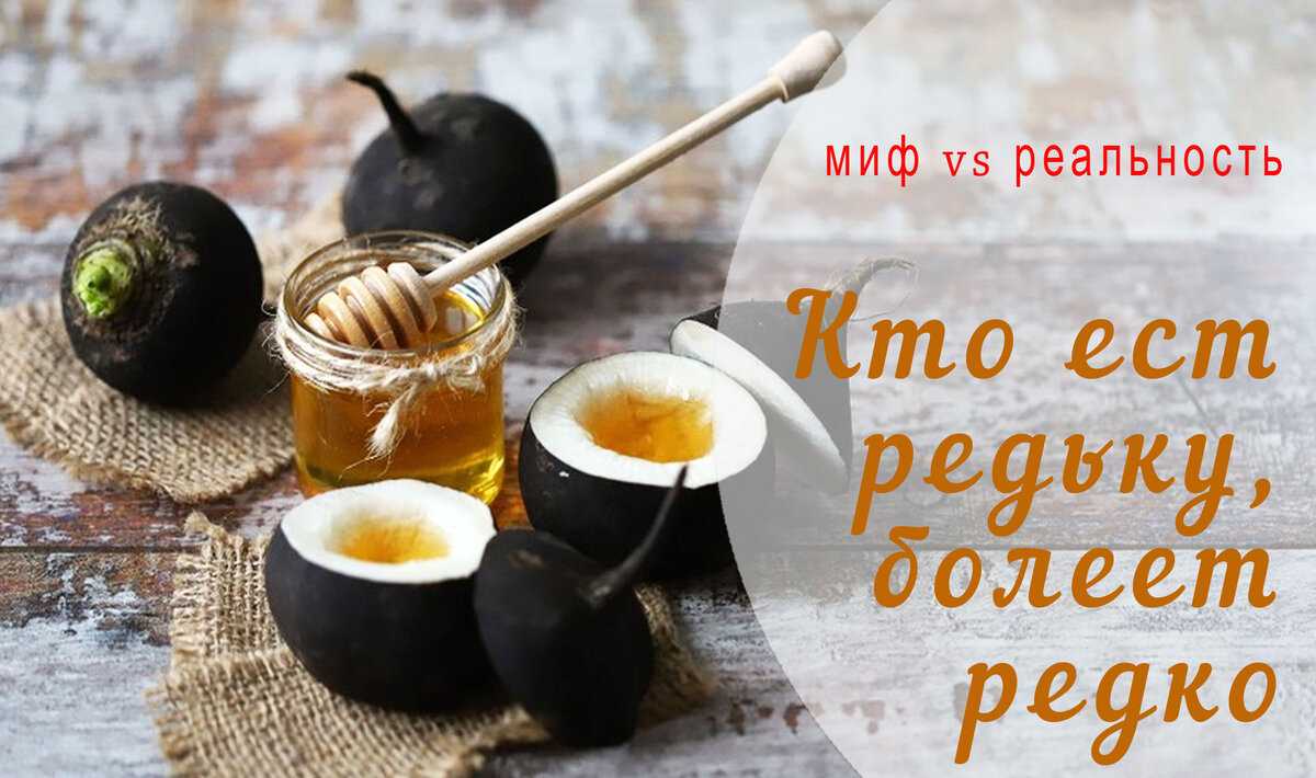 Редька с медом: от какого кашля помогает (сухого или мокрого), полезные свойства, рецепты