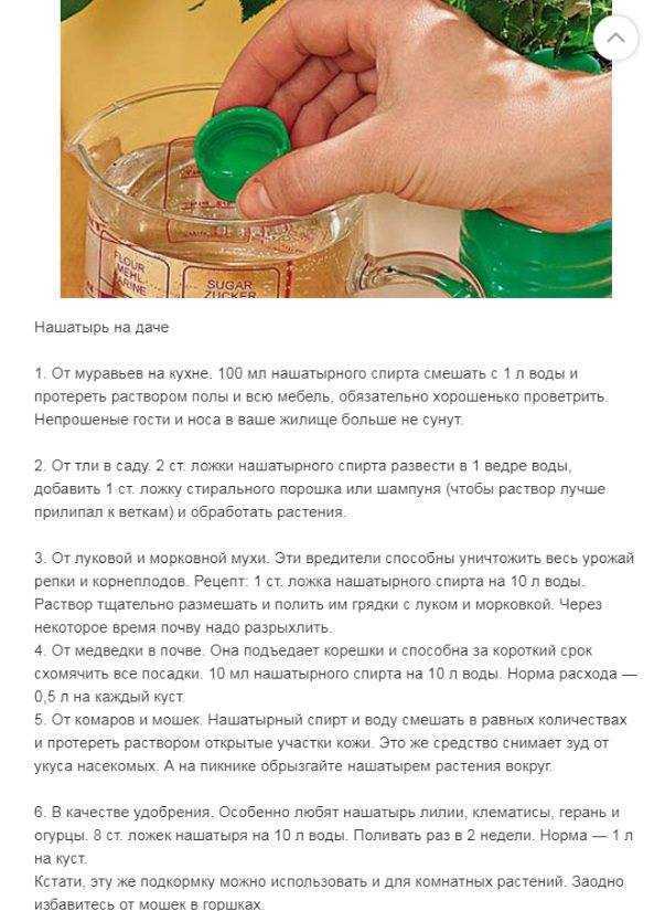 Все о подкормке капусты: сроки, виды удобрений, рекомендации — fertilizer daily